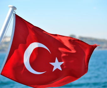 Untitled (340 x 280 px) (1)